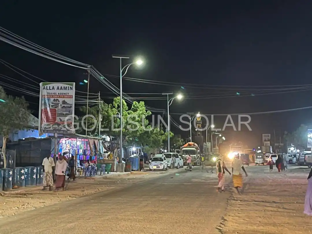 100w Solar Street Light Power Explained